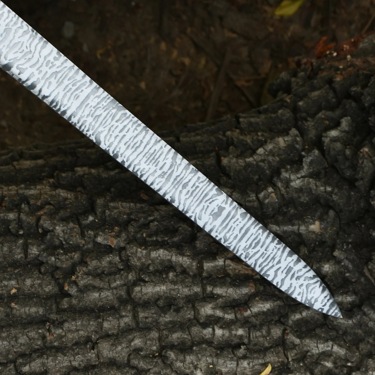 Daemon Targaryen Sword With Free Wall Mount