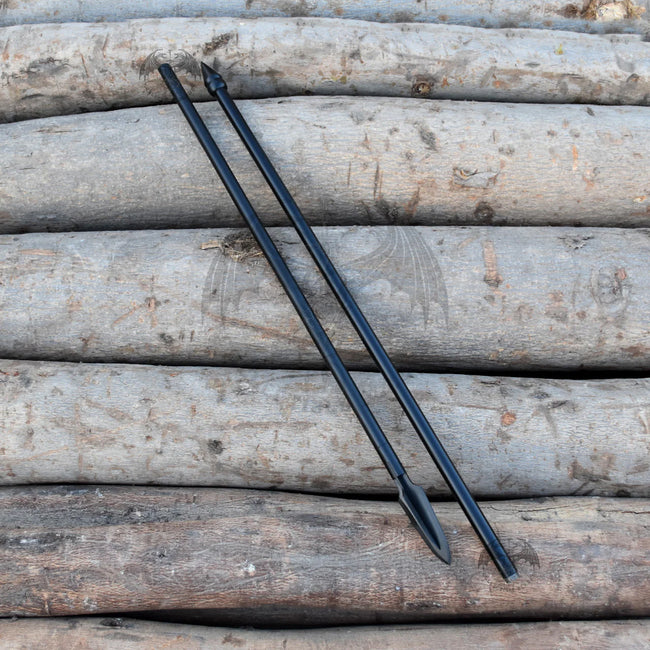 Spartan Spear from 300 Hover Image